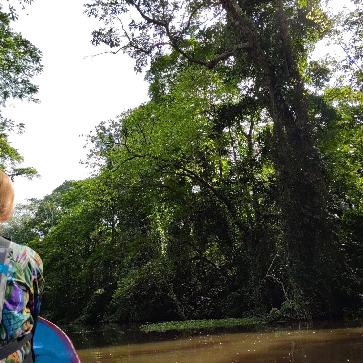 Tortuguero Villas Zewnętrze zdjęcie