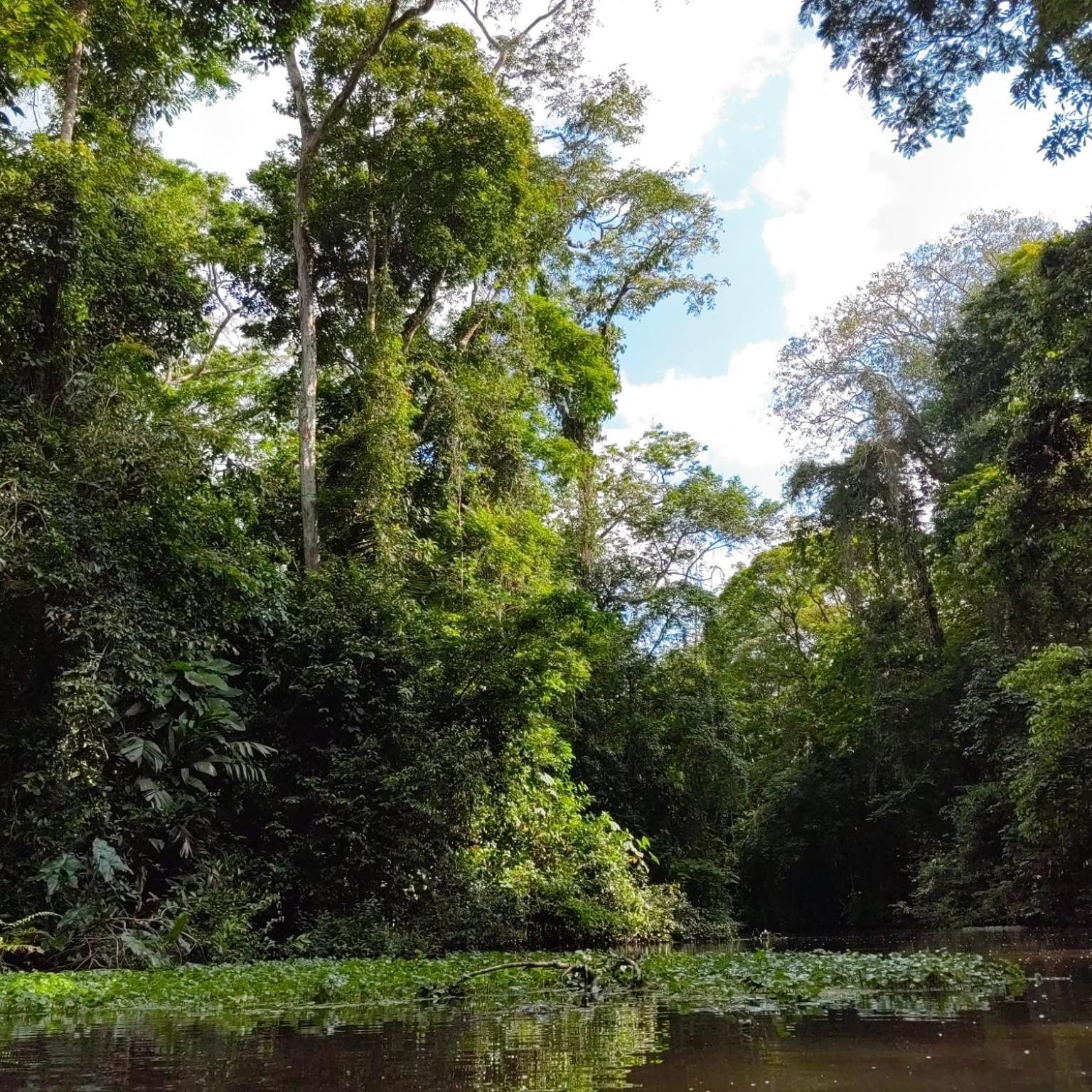 Tortuguero Villas Zewnętrze zdjęcie