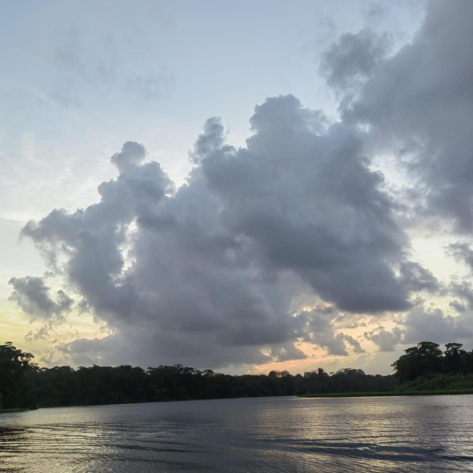 Tortuguero Villas Zewnętrze zdjęcie