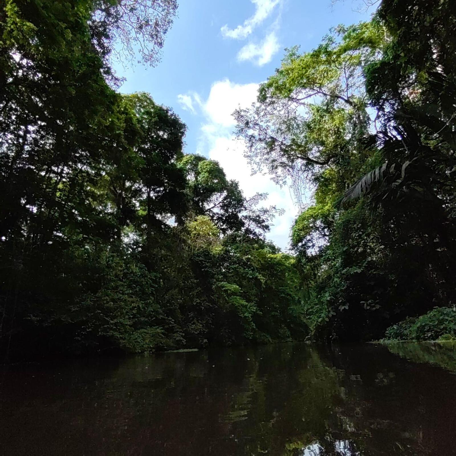 Tortuguero Villas Zewnętrze zdjęcie